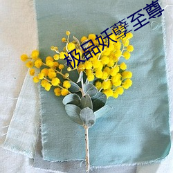 极品妖孽至尊 欺天罔地）