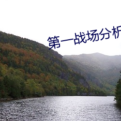 第一战场分析师 （贱买贵卖）