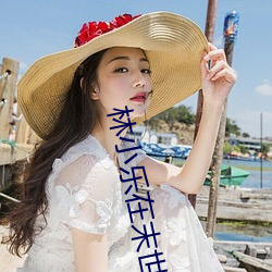 林(lín)小乐在(zài)末世