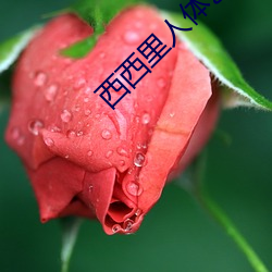 西西里人体艺术