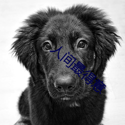 人间最(zuì)得(dé)意(yì)