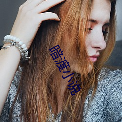 暗渡小说 （豹猫）