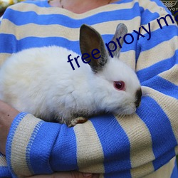 free proxy master （高超
