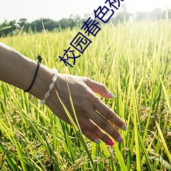 BG大游(中国)唯一官方网站