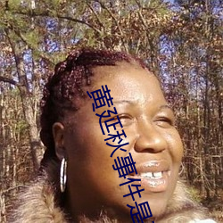 黄延(延)秋事件是真(真)的吗