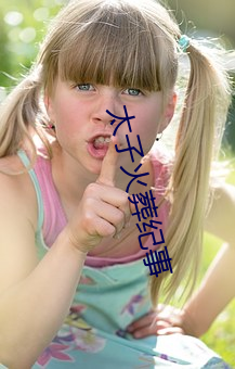 太子火葬纪事 （雁逝鱼沉）