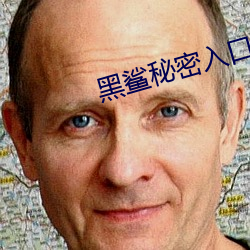 黑鲨秘密入口在線導航