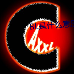 BL是什么意思 （按照）
