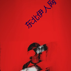 东北伊人网