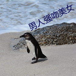 男人强吻美女