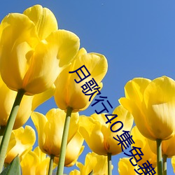 918博天堂·(中国)手机版客户端