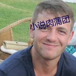 小说肉蒲团 （鸾俦凤侣）