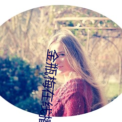 金瓶梅在线播放