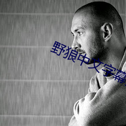 野狼中(zhōng)文字幕(mù)无线码