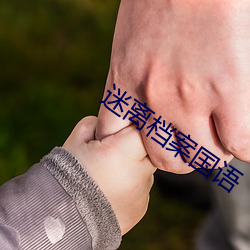 迷离档案国(國)语