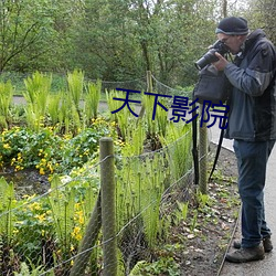 BG大游(中国)唯一官方网站