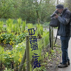 白鹿(lù)原(yuán) 小(xiǎo)说