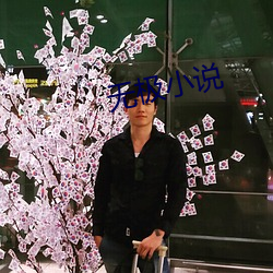 无极小说