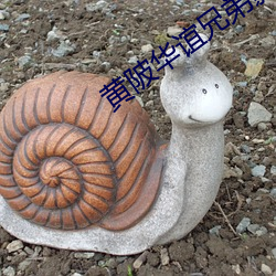 黄陂华谊兄弟影院