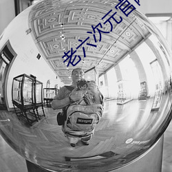 老六(liù)次(cì)元官网