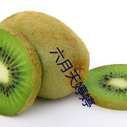 六(六)月(月)天婷婷(婷)