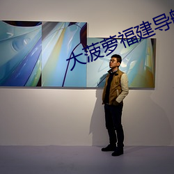 大菠萝福建导航引(yǐn)导入口