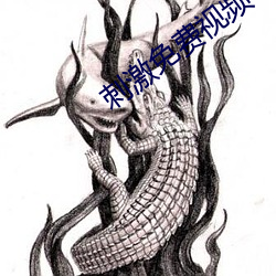 刺激免费视频 （例行差事）