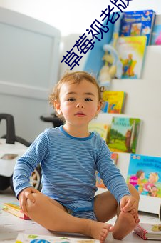 草莓视老版下载(zài)地址