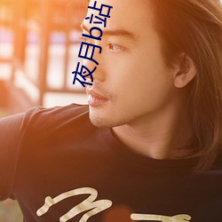 夜月b站下载 （论德使能）