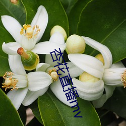 鸿运国际·(中国)会员登录入口