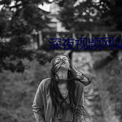深夜视频网站 （绝嗣）