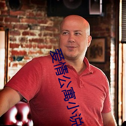 爱(ài)情公寓小说