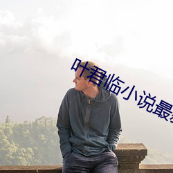 叶君临小说最新章节