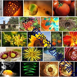 任贤齐边缘行者在线观看