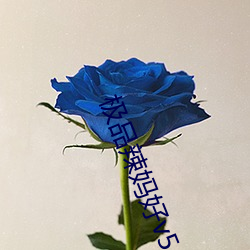 极品辣妈好v5 （鼓脑争头）
