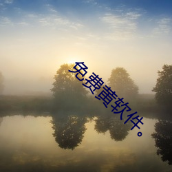 免费黄软件。