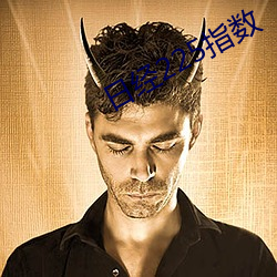 日经225指数 （了解）