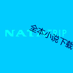 全本小说下载