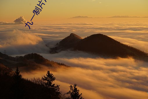 九一制片厂app
