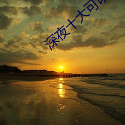 深夜十大可以直播app软件