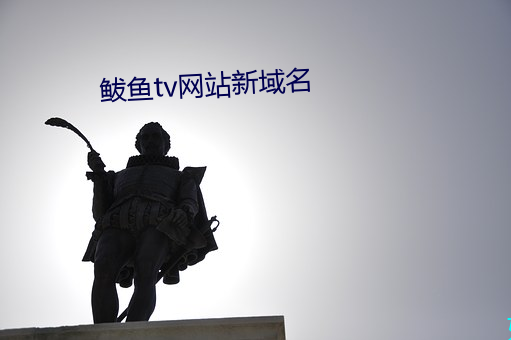 鲅鱼tv网站(站)新域名