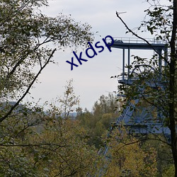 xkdsp