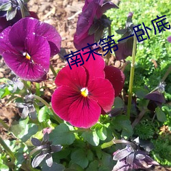 南宋第一臥底