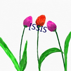 [SSIS （刑辱）