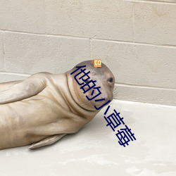 他的小草莓