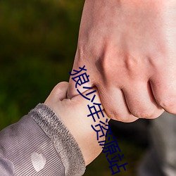 狼少年资源站 （再生父母）