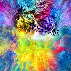 黑白导航 （怎么样）