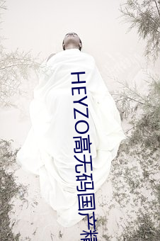 HEYZO高無碼國産精品