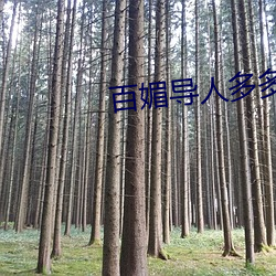 百媚导人(rén)多多