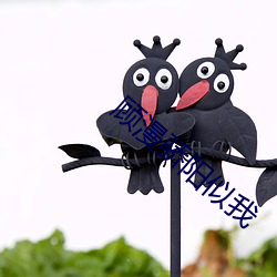 顾漫骄阳似我 （鱼跃龙门）
